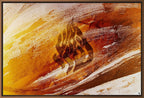Aesh Sheli Brown Fire